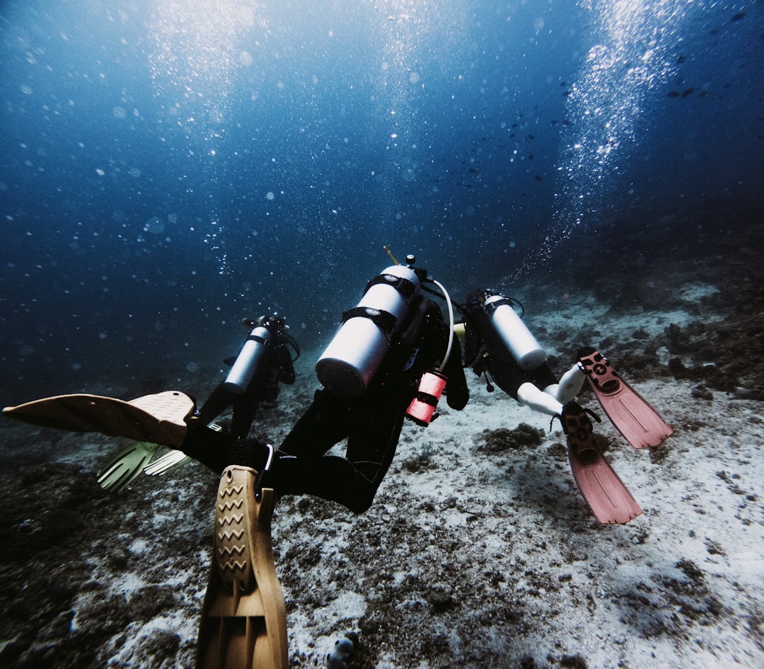 Scuba divers exploring a coral reef underwater